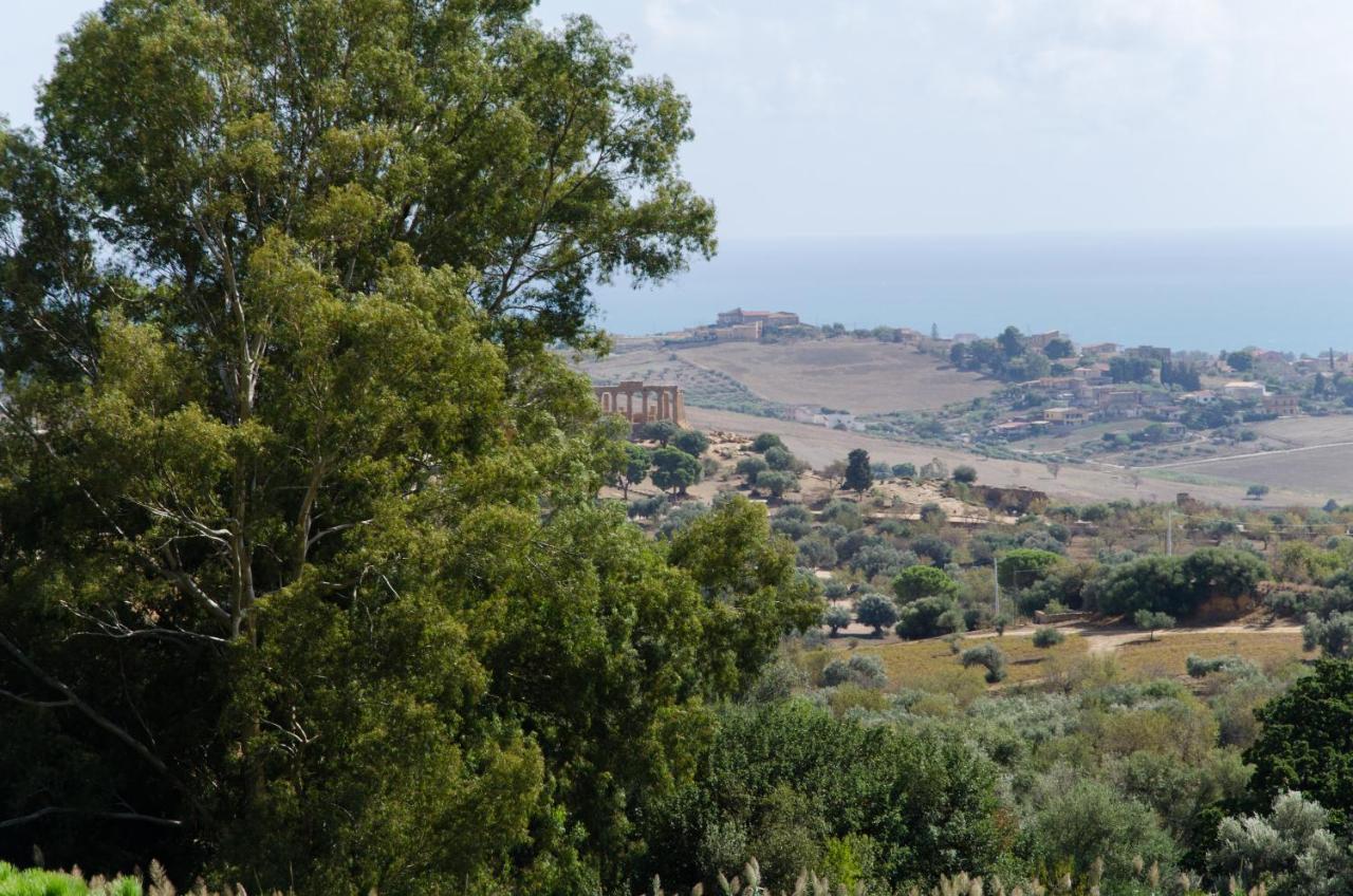 Panoramica Dei Templi B&B Agrigento Ngoại thất bức ảnh